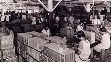 Biscuit Production Facility