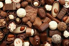 Chocolate Equipment Machinery