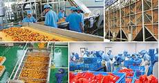Cip Production Line