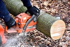 Head Cutting Machine