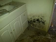 Mould
